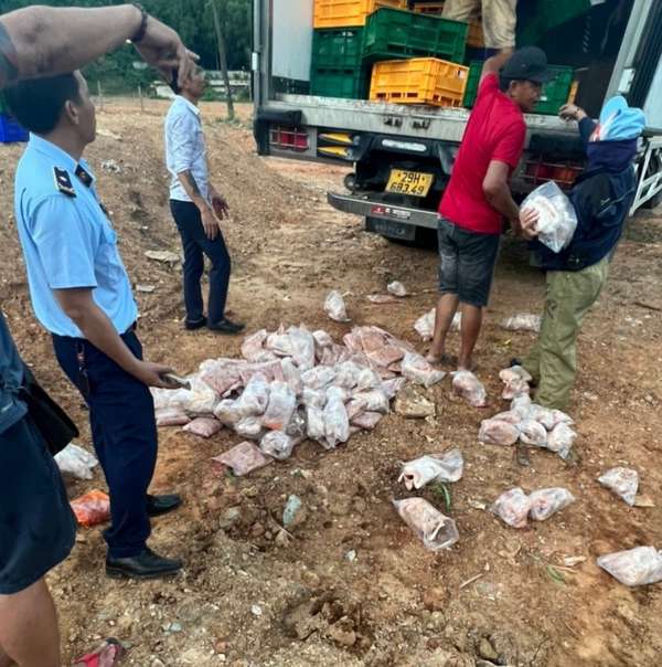 Nghệ An: Xử lý 8 tấn thịt gà đông lạnh vi phạm an toàn thực phẩm