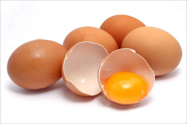 Vì sao trứng gà dễ gây ngộ độc?