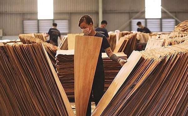 Doanh nghiệp ngành gỗ cần trang bị “phao cứu sinh” trước 