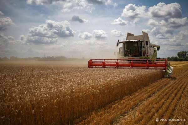Ngũ cốc từ Ukraine và nguy cơ về cuộc khủng hoảng lương thực
