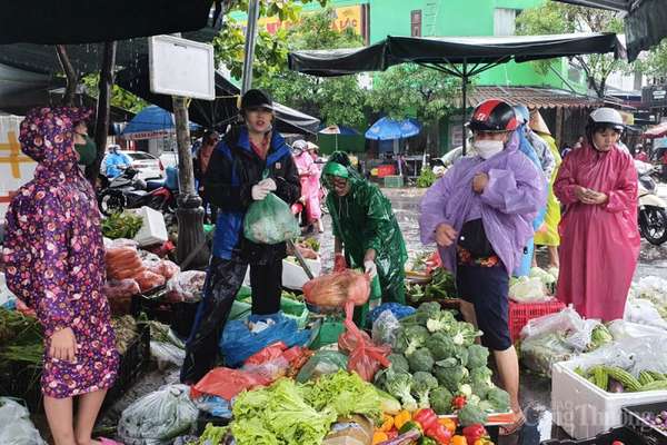 Đà Nẵng: Mưa lớn, làng rau chìm trong nước, giá rau xanh tăng