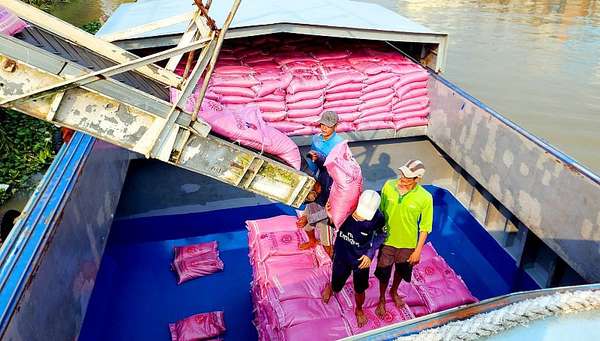 Kiên Giang: Xuất khẩu gạo tăng mạnh