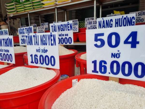 TP. Hồ Chí Minh: Giá gạo bán lẻ bước vào chu kỳ tăng giá mới