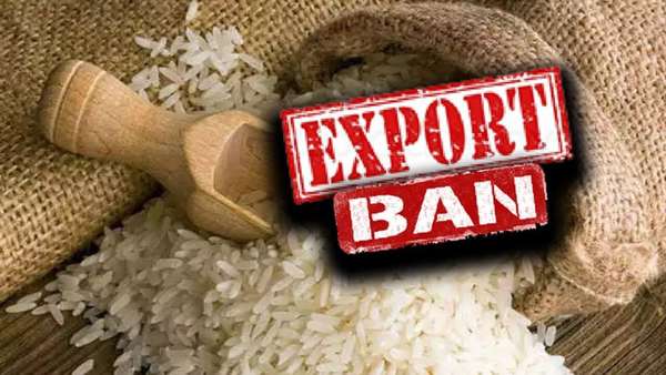 Từ bài toán hạn chế xuất khẩu gạo của Ấn Độ đến giải pháp đa phương
