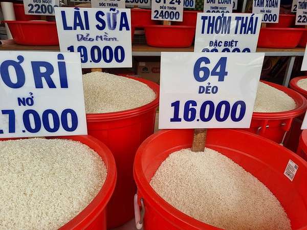 Giá gạo xuất khẩu Việt Nam tiếp tục tăng trở lại mốc lịch sử 643 USD/tấn