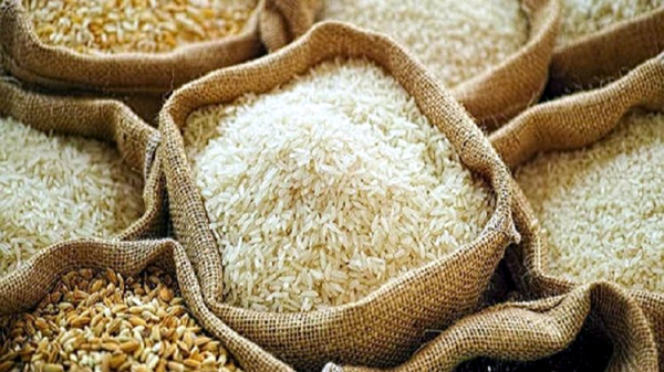 Giá lúa gạo hôm nay ngày 14/3: Nhiều kho chấp nhận trả giá cao để mua được gạo