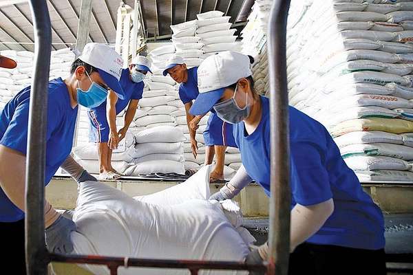 Giá gạo Việt cao kỷ lục. Ảnh minh họa