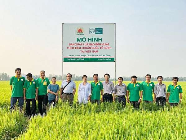 Phát triển bền vững chính là điều kiện cần của gạo Việt
