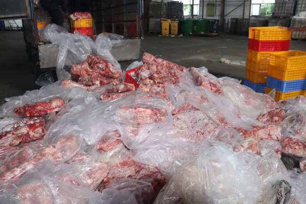 Thái Bình: Tiêu hủy hơn 3 tấn thịt lợn ôi thiu, biến đổi màu sắc