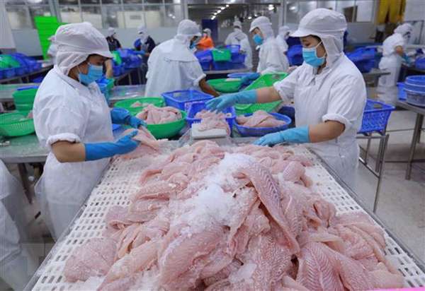 Xuất khẩu tuần 30/10-5/11: Xuất khẩu cá tra, cá ngừ kỳ vọng nhiều tăng trưởng, xuất khẩu gạo của Việt Nam khởi sắc
