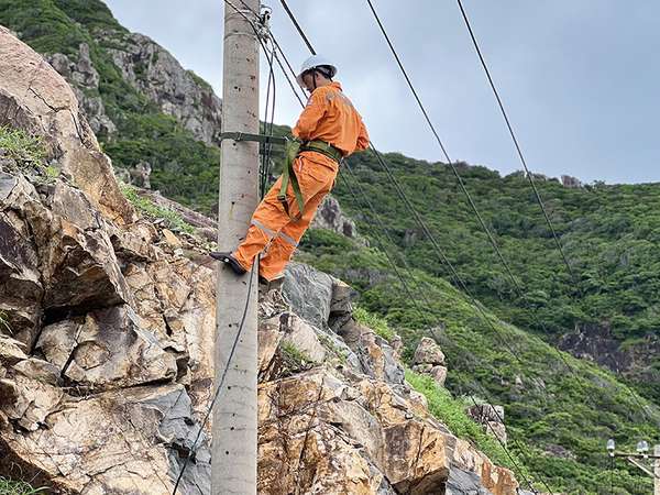Nhân viên điện lực Côn Đảo kiểm tra bảo trì đường dây định kỳ tại khu vực bến Đầm (ảnh Hồng Phúc, báo Bà Rịa Vũng Tàu)