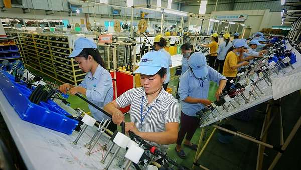 EVFTA tạo“cú huých” hút dòng vốn FDI từ Hà Lan vào Việt Nam