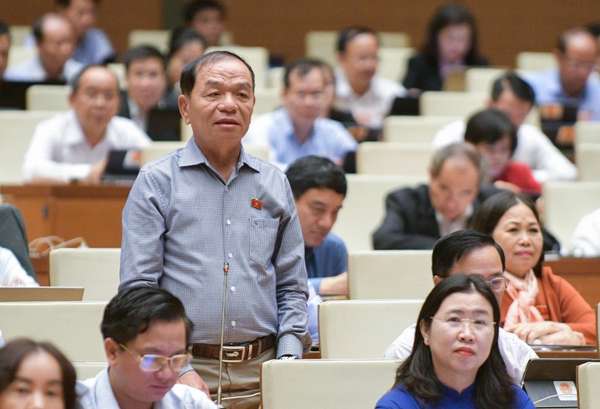 Đại biểu Lê Thanh Vân: Đề nghị Tổng Thanh tra Chính phủ nhận trách nhiệm của mình