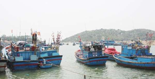Thu hồi Giấy chứng nhận đăng ký Công ty TNHH Absonutrix Việt Nam; Chủ tàu cá bị phạt hơn 3 tỷ đồng