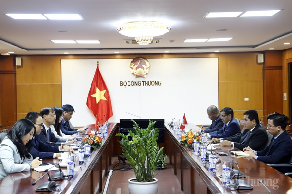 Hiệp định CPTPP thúc đẩy mạnh mẽ thương mại song phương Việt Nam - Peru
