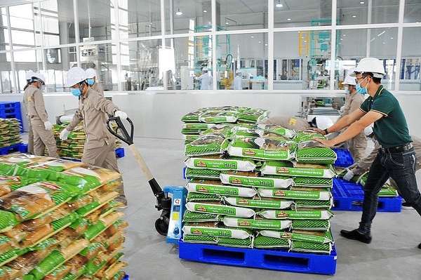 Giá gạo Việt “nóng” trở lại, tiếp tục tăng 10 USD/tấn