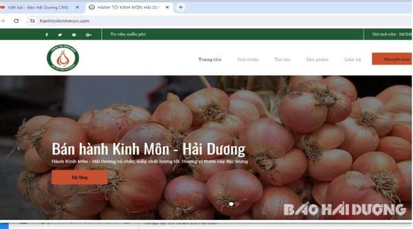 Sản phẩm hành tỏi Kinh Môn được rao bán trên địa chỉ https://hanhtoikinhmon.com/. Ảnh Báo Hải Dương