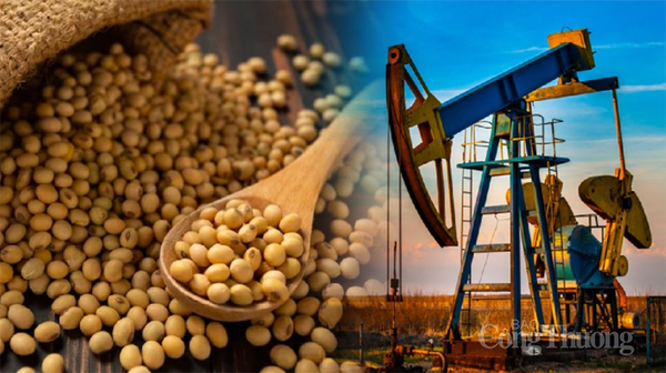 Thị trường hàng hoá hôm nay 29/11/2023: Lực mua áp đảo trên thị trường hàng hóa nguyên liệu thế giới