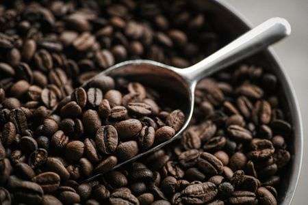 Việt Nam thu về gần 3,4 tỉ USD từ xuất khẩu cà phê