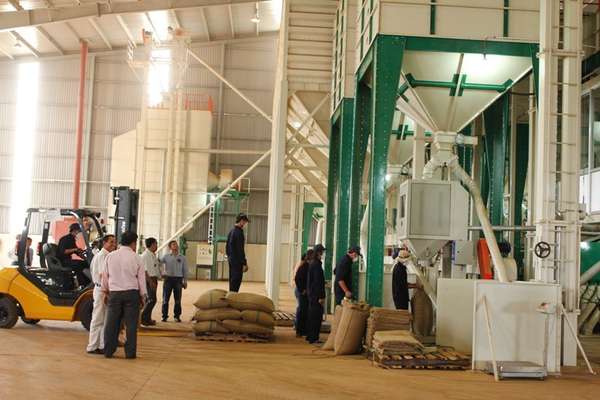 Đắk Lắk: Tận dụng EVFTA, giá trị cà phê xuất khẩu tăng gấp 7 lần