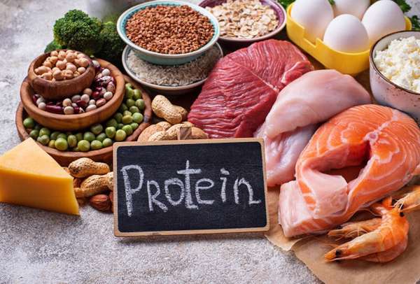 Protein giúp xây dựng các mô và sức mạnh cơ bắp, oxy hóa thức ăn, giúp điều hòa hormone và tổng hợp enzyme