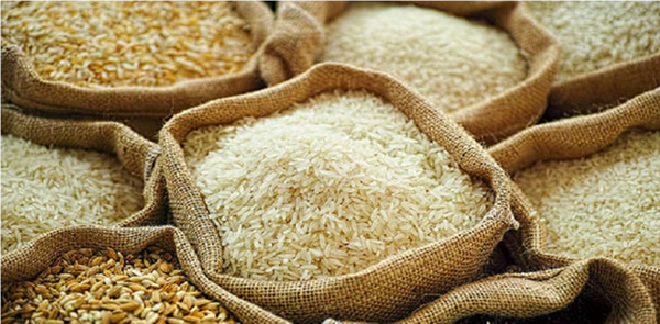 Giá lúa gạo hôm nay ngày 25/12: Giá lúa gạo neo cao trong phiên đầu tuần