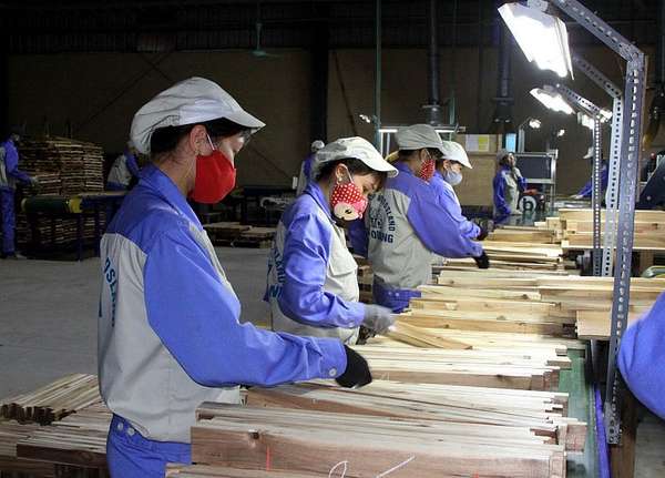 Hiệp định RCEP mang lại lợi thế vượt trội để doanh nghiệp xuất khẩu gỗ sang Hàn Quốc