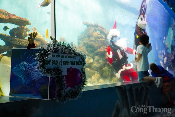 Khánh Hòa: Lần đầu tiên ông già Noel xuất hiện dưới nước tại Viện Hải dương học