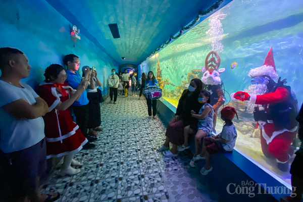 Khánh Hòa: Lần đầu tiên ông già Noel xuất hiện dưới nước tại Viện Hải dương học