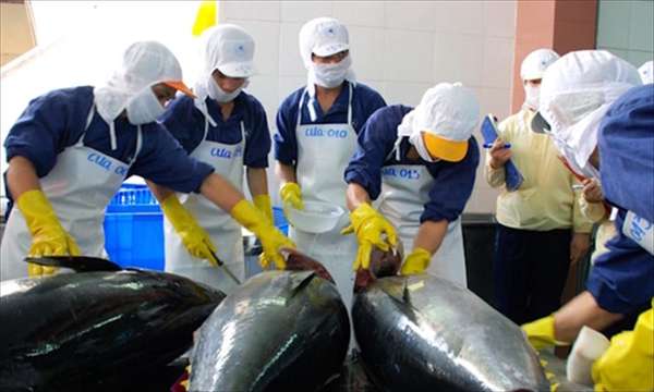 Xuất khẩu cá ngừ thắng lớn trong quý I/2022