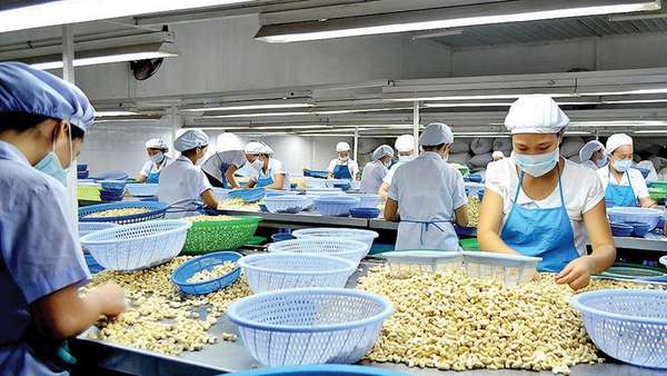 Nông sản Việt sẽ cạnh tranh bằng chất lượng và uy tín tại thị trường EU
