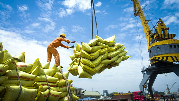Xuất khẩu gạo vào Asean: Cửa rộng nhưng vẫn vướng - Nhịp sống kinh tế Việt  Nam & Thế giới