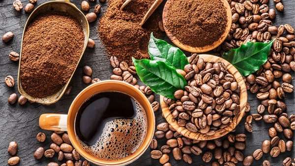Dự báo xuất khẩu cà phê cả năm 2023 ước đạt 1,606 triệu tấn