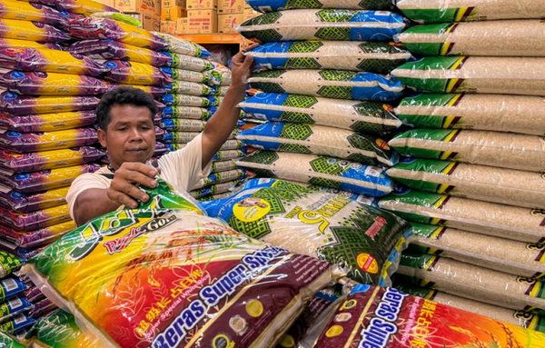 Giá gạo ở châu Á tiếp đà tăng do thị trường thắt chặt vào đầu năm 2024