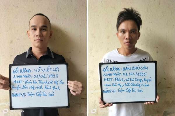 Quảng Nam: Bắt đối tượng trộm hơn 100 gốc sâm Ngọc Linh