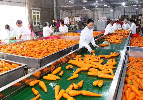 Xuất khẩu rau quả chế biến lần đầu vượt 1 tỷ USD - Ảnh 1.