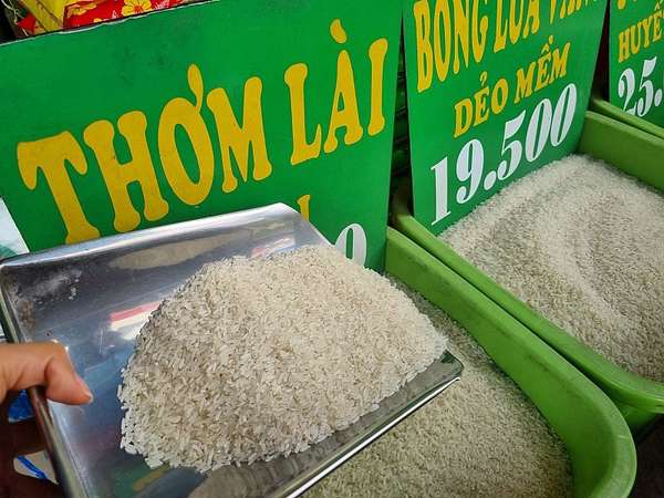 Tin vui: Việt Nam trúng 2/3 gói thầu 500.000 tấn gạo của Indonesia