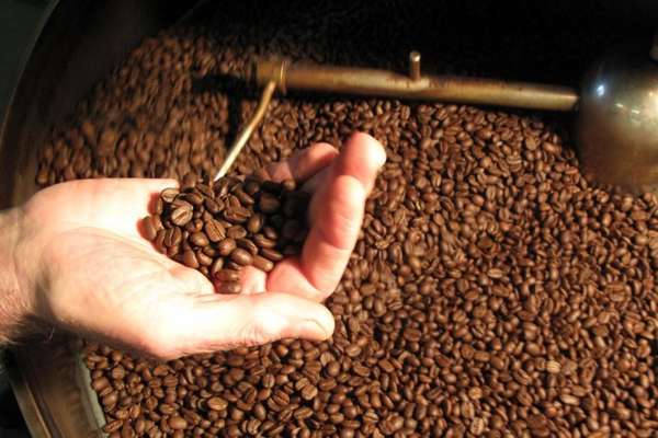Chịu tác động từ sự thay đổi của đồng USD và tỷ giá USD, giá cà phê xuất khẩu biến động