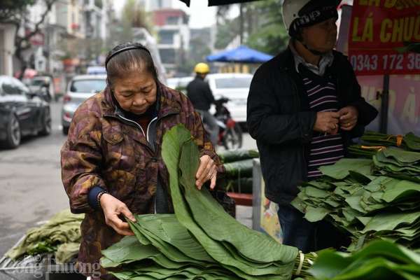 Chợ lá dong lâu đời nhất Hà Nội nhộn nhịp ngày cận Tết