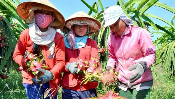 Đề nghị Trung Quốc mở rộng nhập khẩu hàng hóa, nông sản của Việt Nam