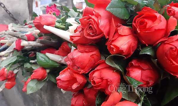 hoa hồng phổ biến ở mức 10.000 - 30.000 đồng/bông