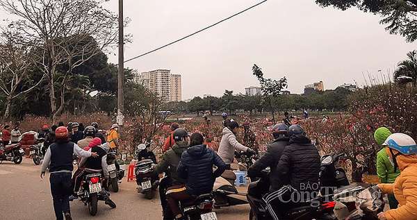 Người tiêu dùng Thủ đô đi sắm Tết tại chợ hoa Xuân Giáp Thìn (quận Hoàng Mai, TP. Hà Nội)