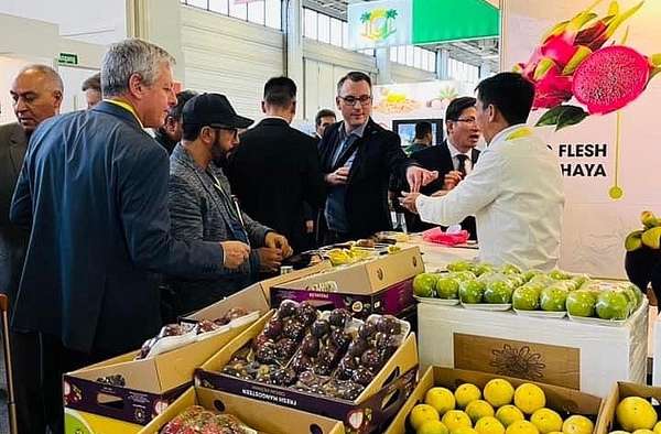 Xuyên Tết đến trời Tây mở thị trường cho trái cây Việt