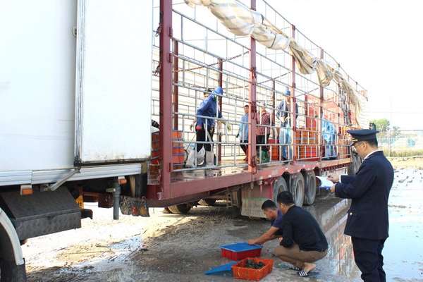 Quảng Ninh: Gần 57 tấn hải sản thông quan Cửa khẩu cầu Bắc Luân II