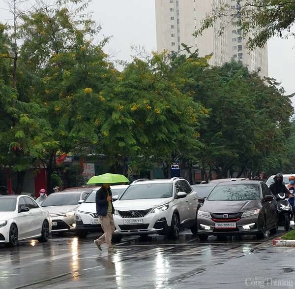 Dự báo thời tiết Hà Nội hôm nay 25/2/2024: Hà Nội tiếp tục mưa rét