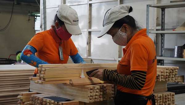 Muốn bán tín chỉ carbon, doanh nghiệp gỗ cần thực hành phát triển bền vững