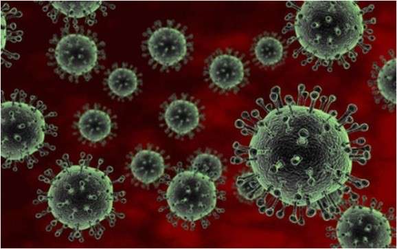 Cúm A H5N1: Triệu chứng, nguyên nhân và cách phòng ngừa