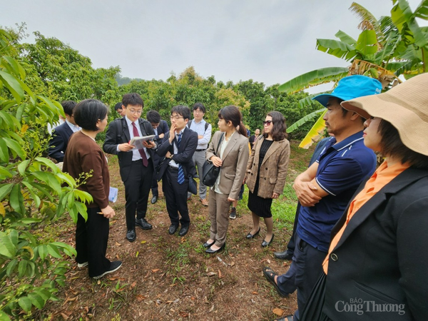 Bài 3: “Tấm hộ chiếu” cho nông sản Việt ra thị trường nước ngoài
