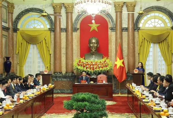 Quyền Chủ tịch nước Võ Thị Ánh Xuân phát biểu tại buổi gặp mặt đoàn đại biểu Hội Doanh nhân Trẻ Việt Nam. (Ảnh: Thống Nhất/TTXVN)