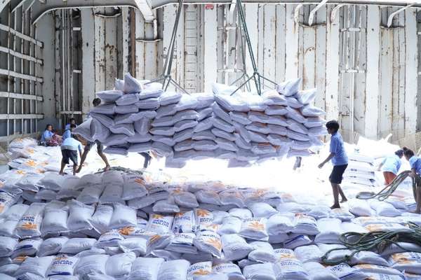 Gạo Việt Nam tiếp tục bị cạnh tranh tại các thị trường xuất khẩu truyền thống